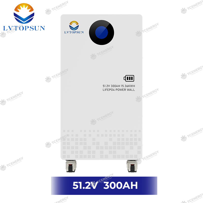 in Lưu Trữ Điện Mặt Trời Lithium LVTOPSUN 15.36Kwh 51.2V 300Ah